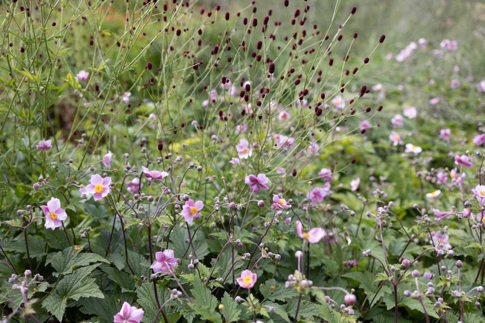 Flowers Country Estate Garden Design, Berkshire