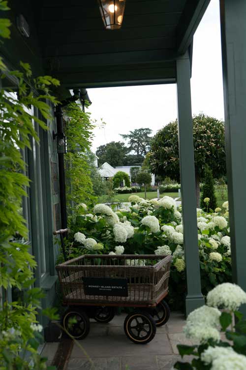 White flowers at Monkey Island Garden Design, Berkshire